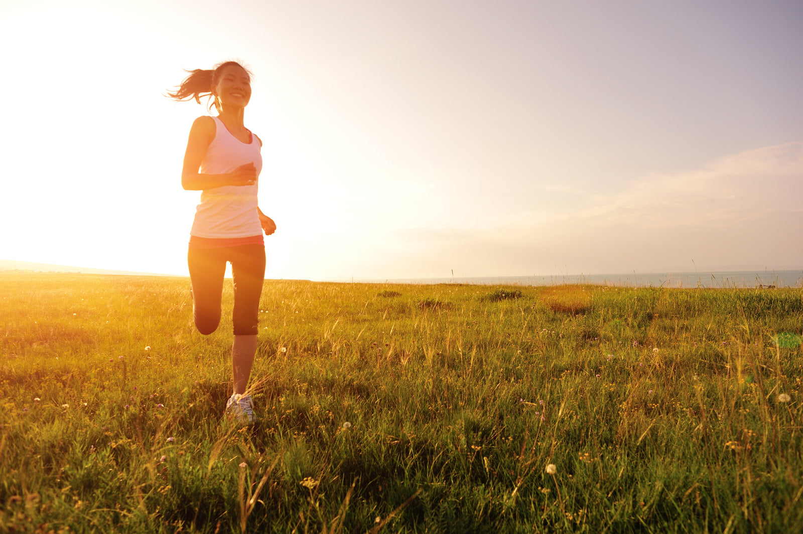 What Does Dietary Fiber Do for Your Body?